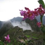 Conservación de orquídeas incentivará turismo en Machu Picchu