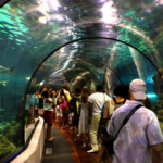 El Aquarium de Barcelona